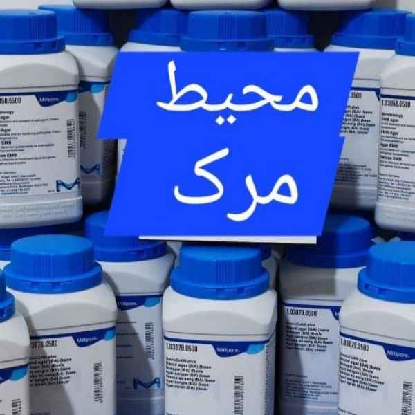 1719228543285.webp