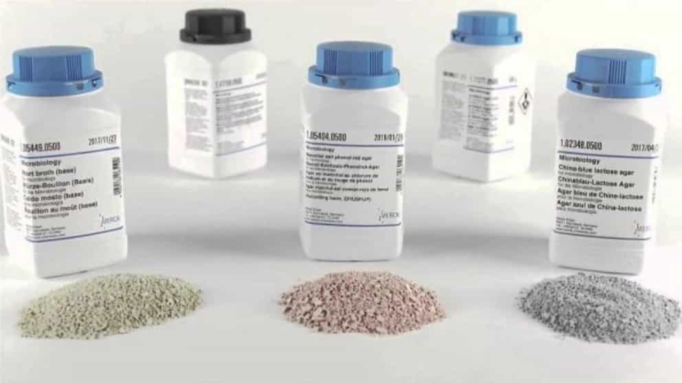 Aria Gene, familiarization with the types of production environments of MERK company