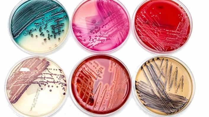 Types of cultivation environment in Aria Gene Company