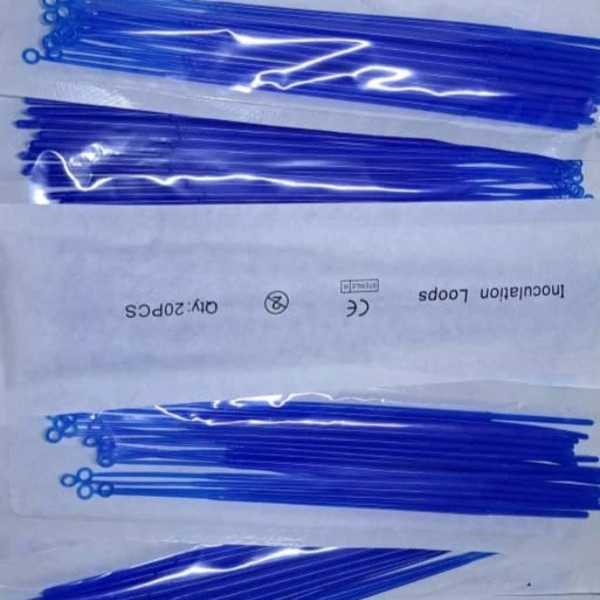 1718001033793.webp