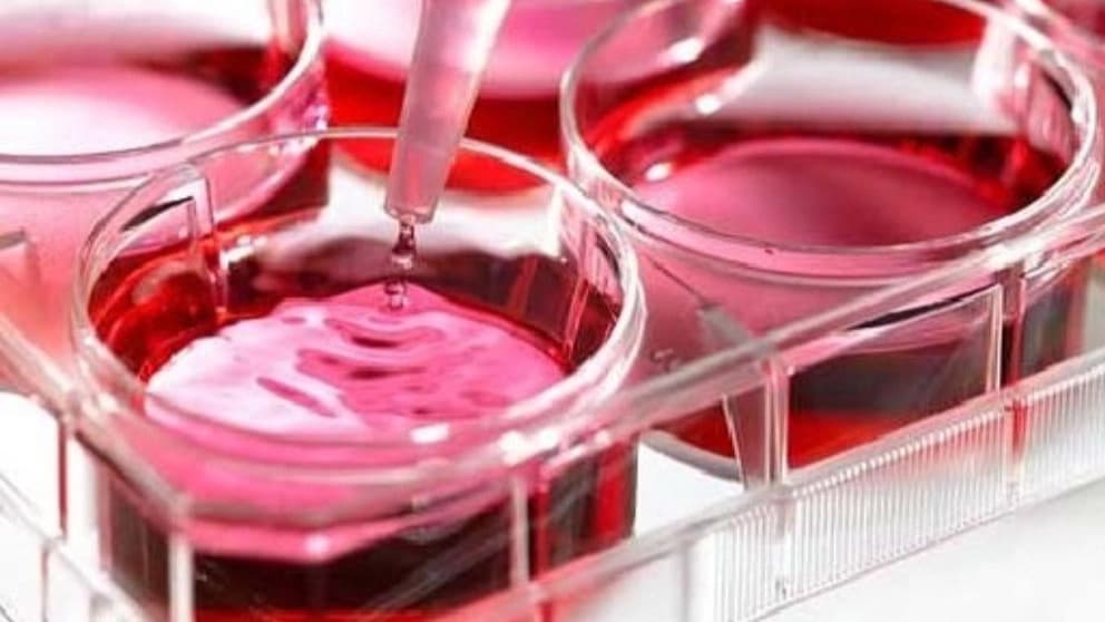 محیط کشت مرک MERCK